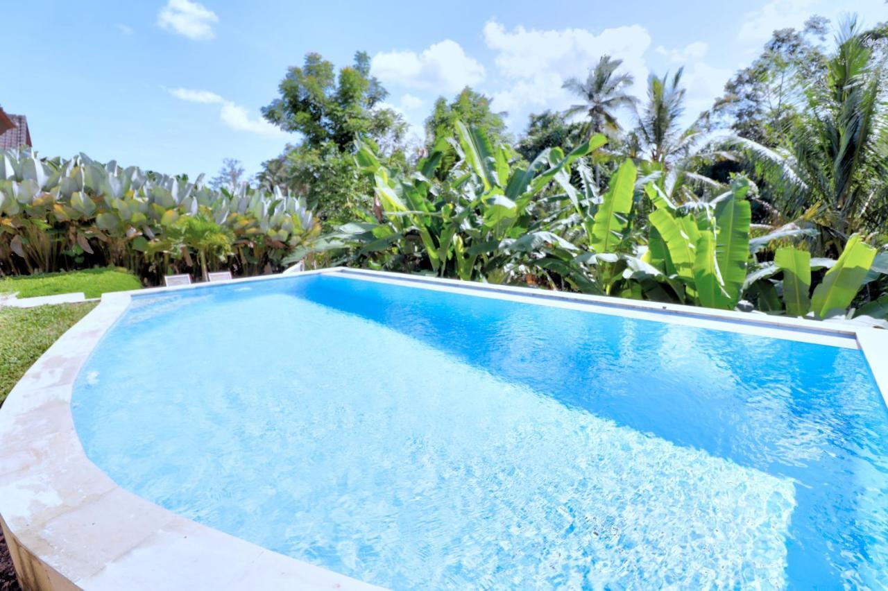 Axros Villa Ubud Extérieur photo