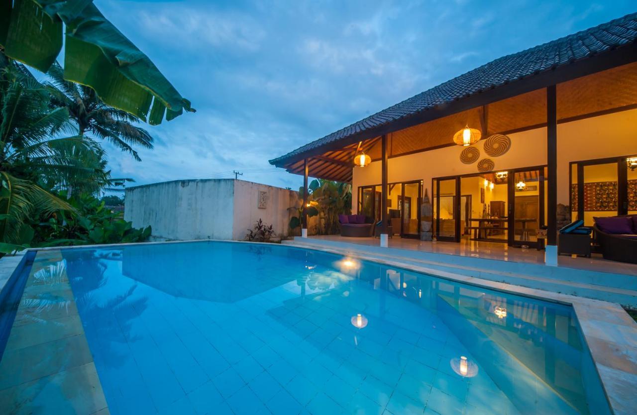 Axros Villa Ubud Extérieur photo